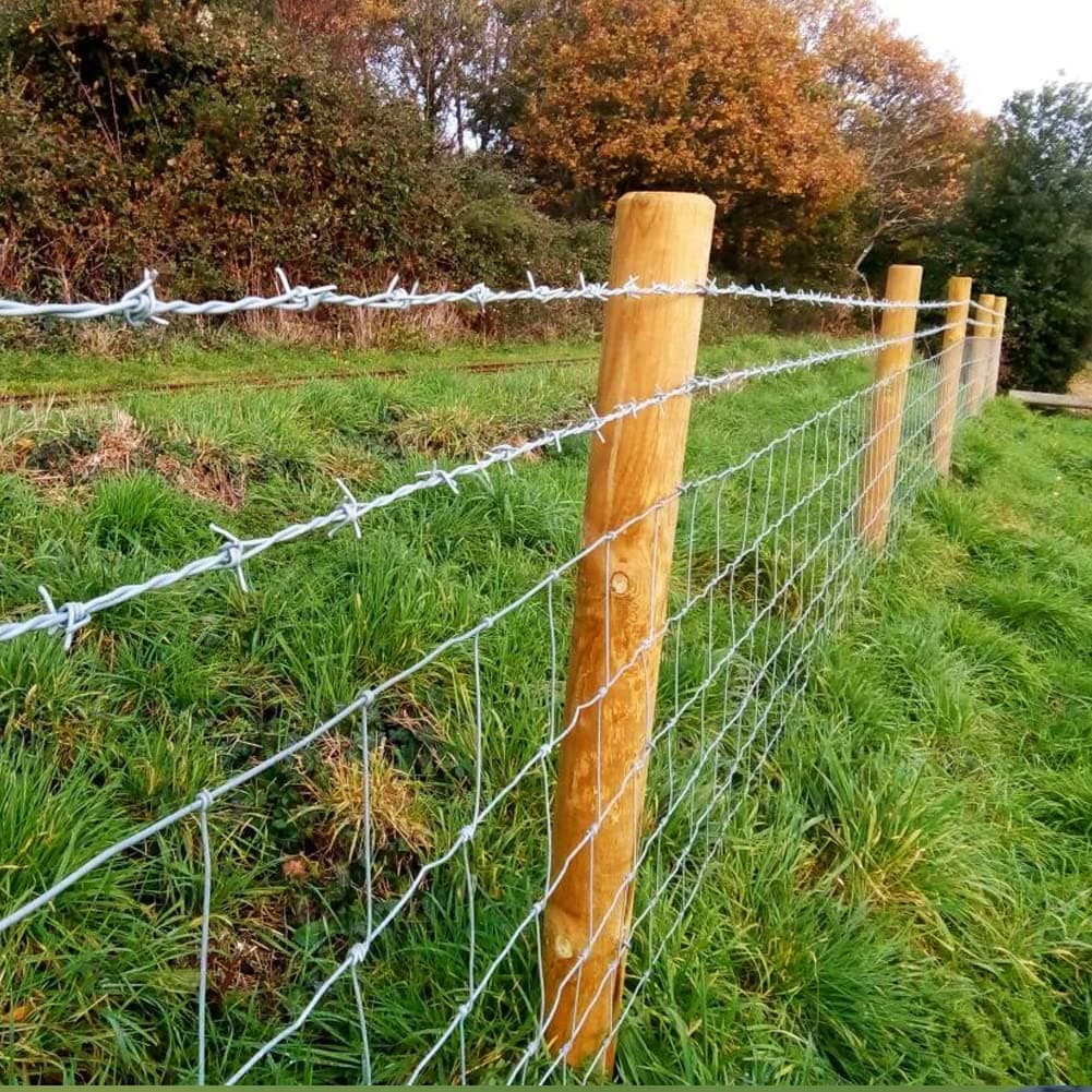 Sri Velmurugan Solar - Completed Barbed Wire Fencing Project 4