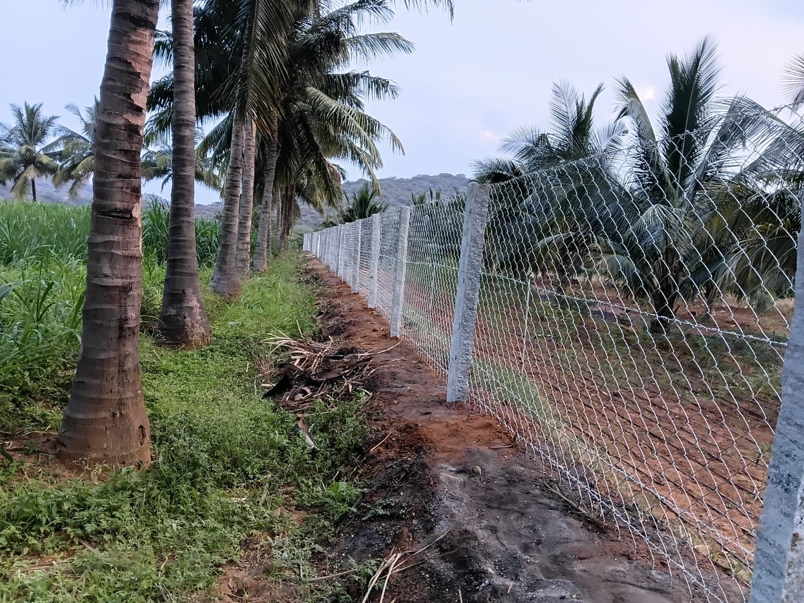 Sri Velmurugan Solar - Completed Chain Link Fencing Project 1