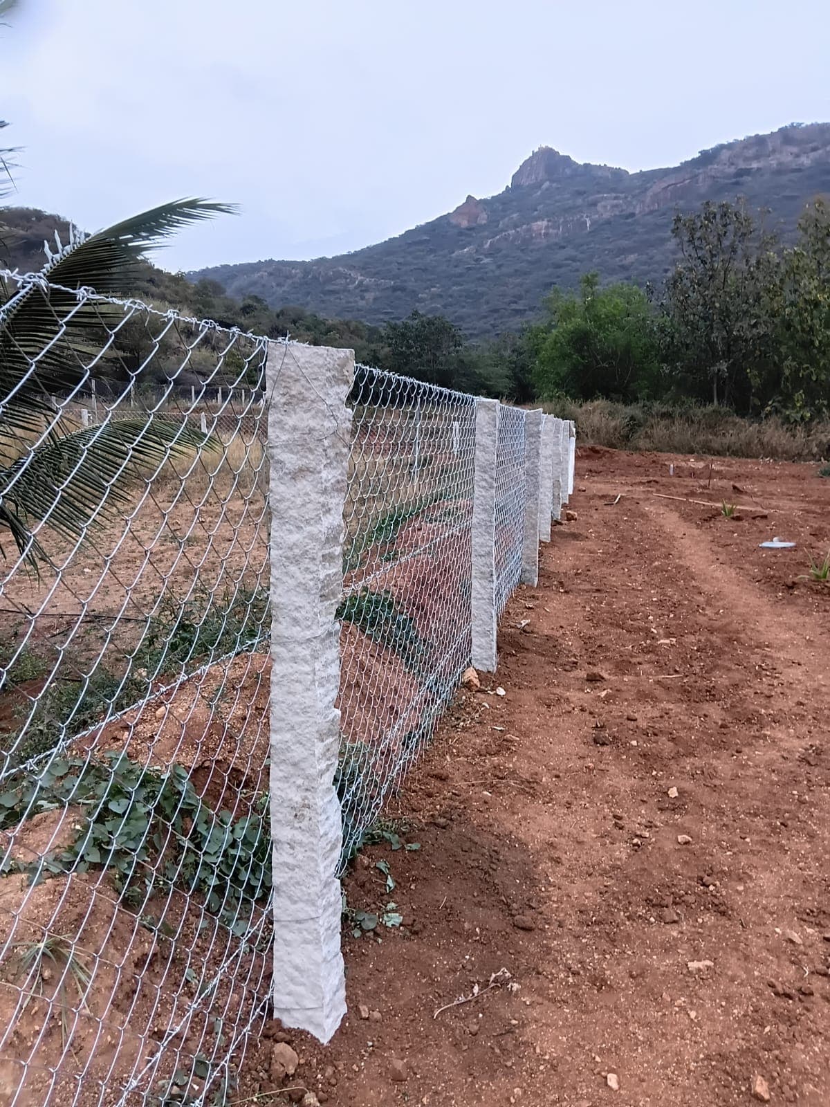 Sri Velmurugan Solar - Completed Chain Link Fencing Project 2