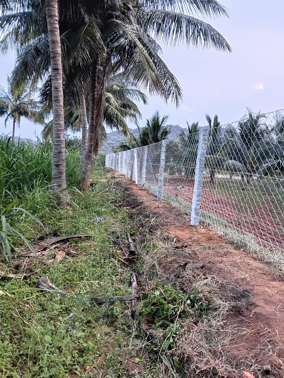 Sri Velmurugan Solar - Completed Chain Link Fencing Project 4