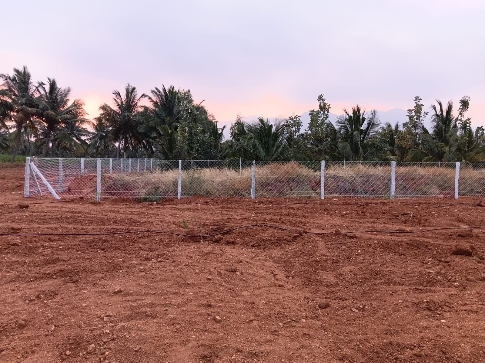 Sri Velmurugan Solar - Completed Chain Link Fencing Project 5