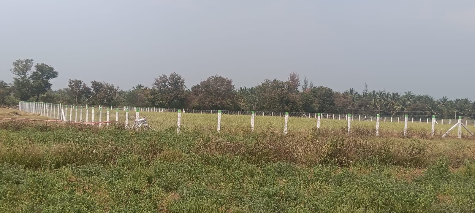 Sri Velmurugan Solar - Completed Chain Link Fencing Project 6