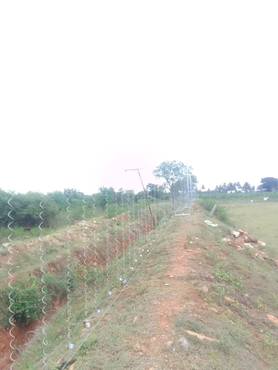 Sri Velmurugan Solar - Completed Hanging Solar Fencing Project 8